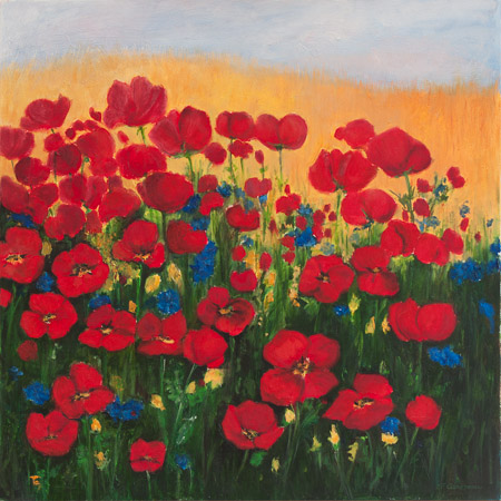 Cocquelicots
